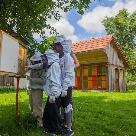 Beekeeping Kojek Apartment Ribnica Exterior foto