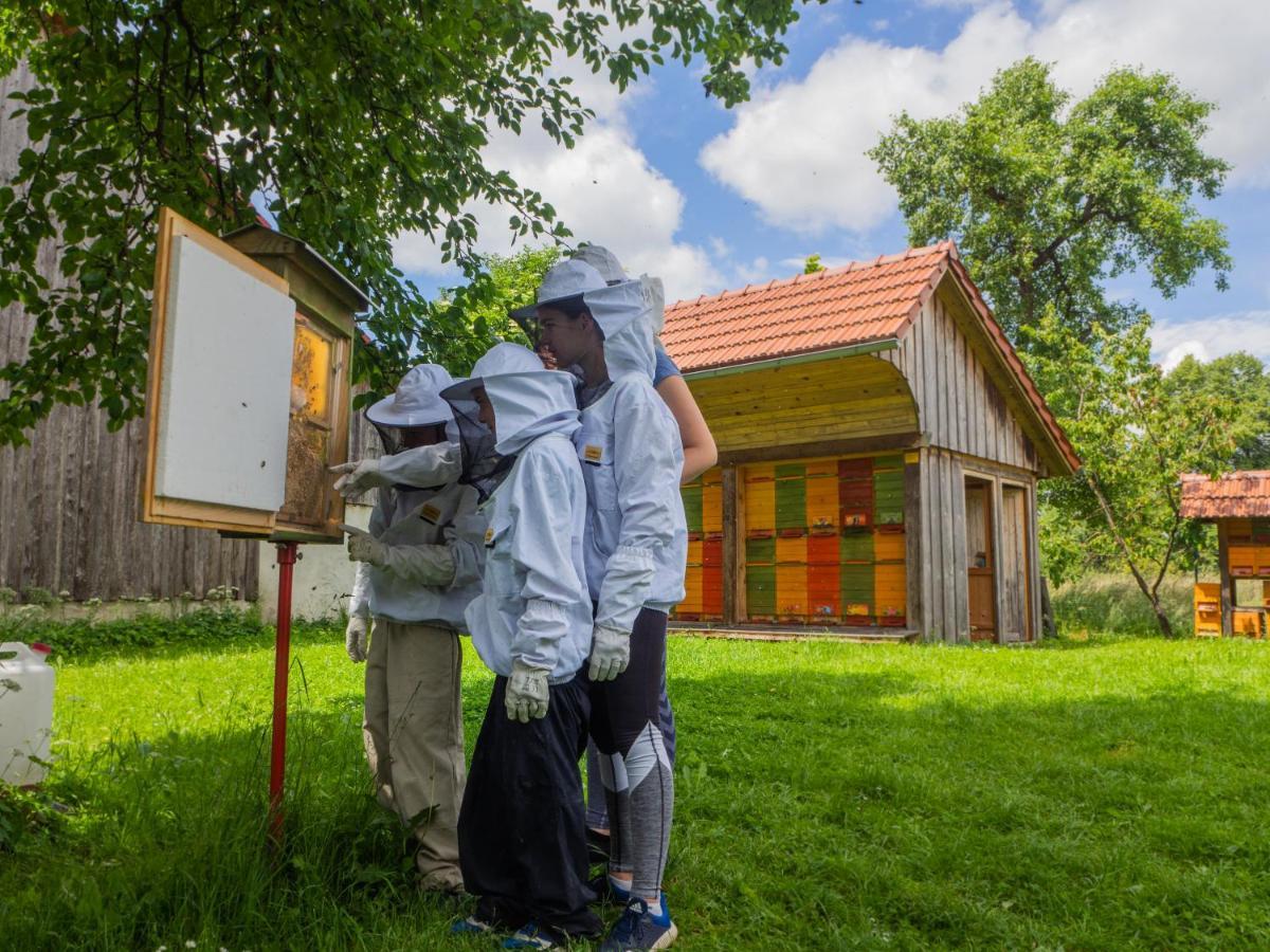 Beekeeping Kojek Apartment Ribnica Exterior foto