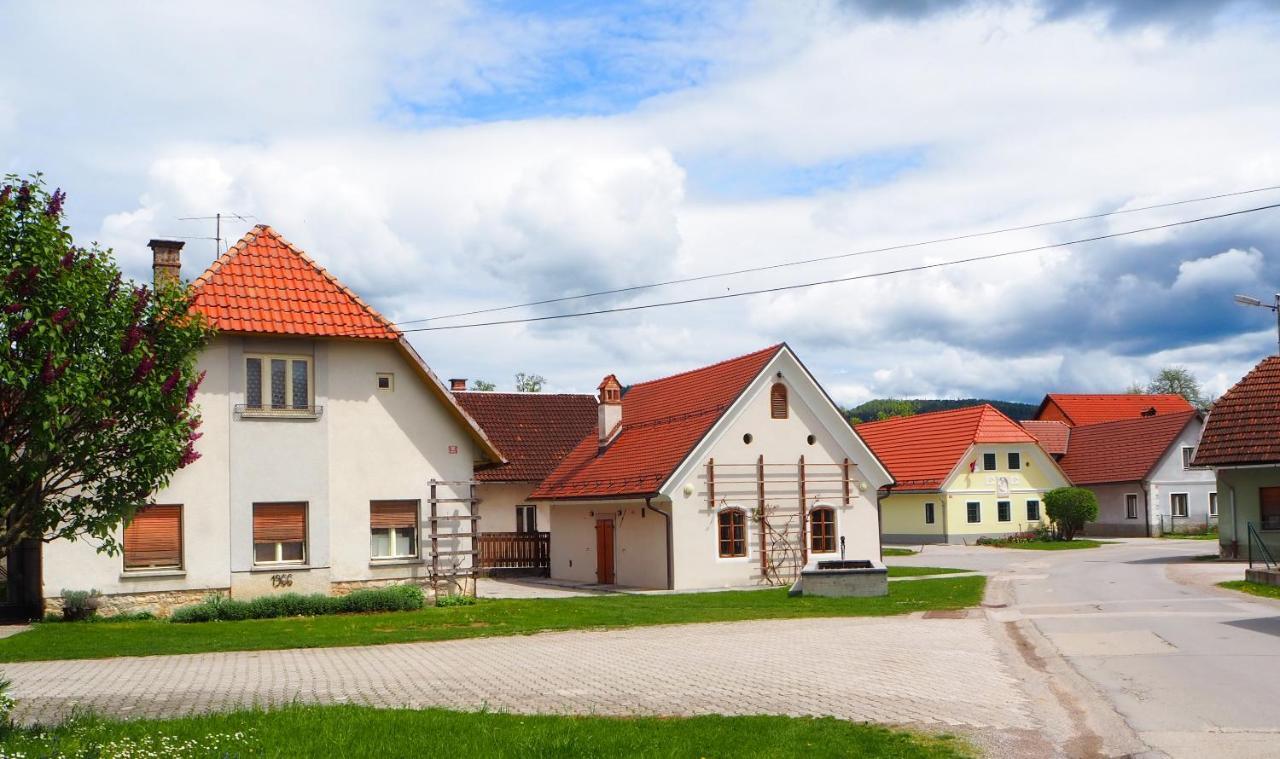 Beekeeping Kojek Apartment Ribnica Exterior foto