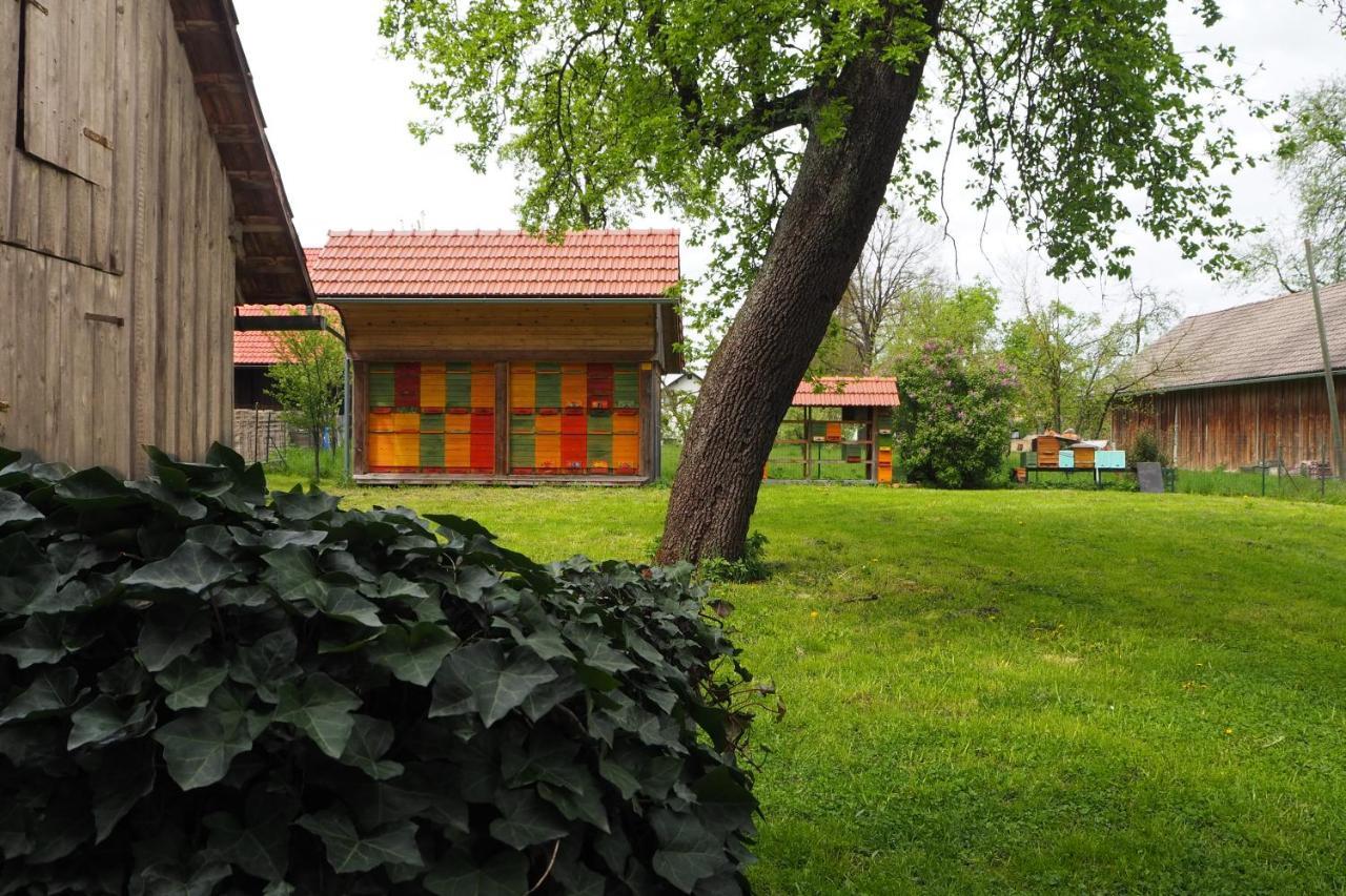 Beekeeping Kojek Apartment Ribnica Exterior foto
